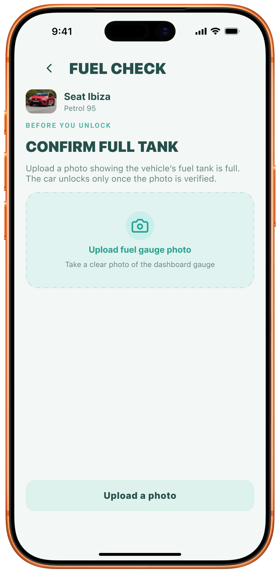 Fuel verification